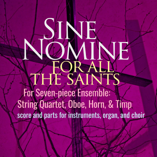 Slipcase Sine Nomine Small Ensemble