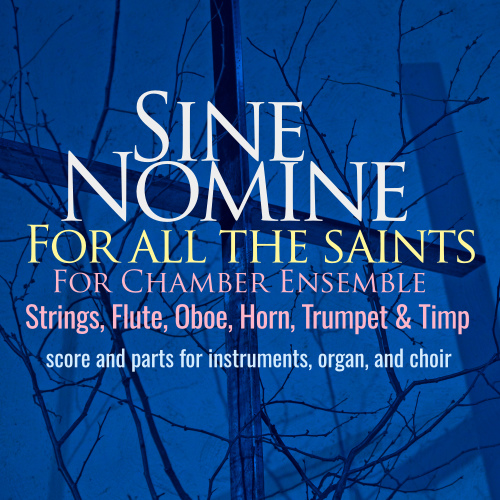 Slipcase Sine Nmine Chamber Ensemble