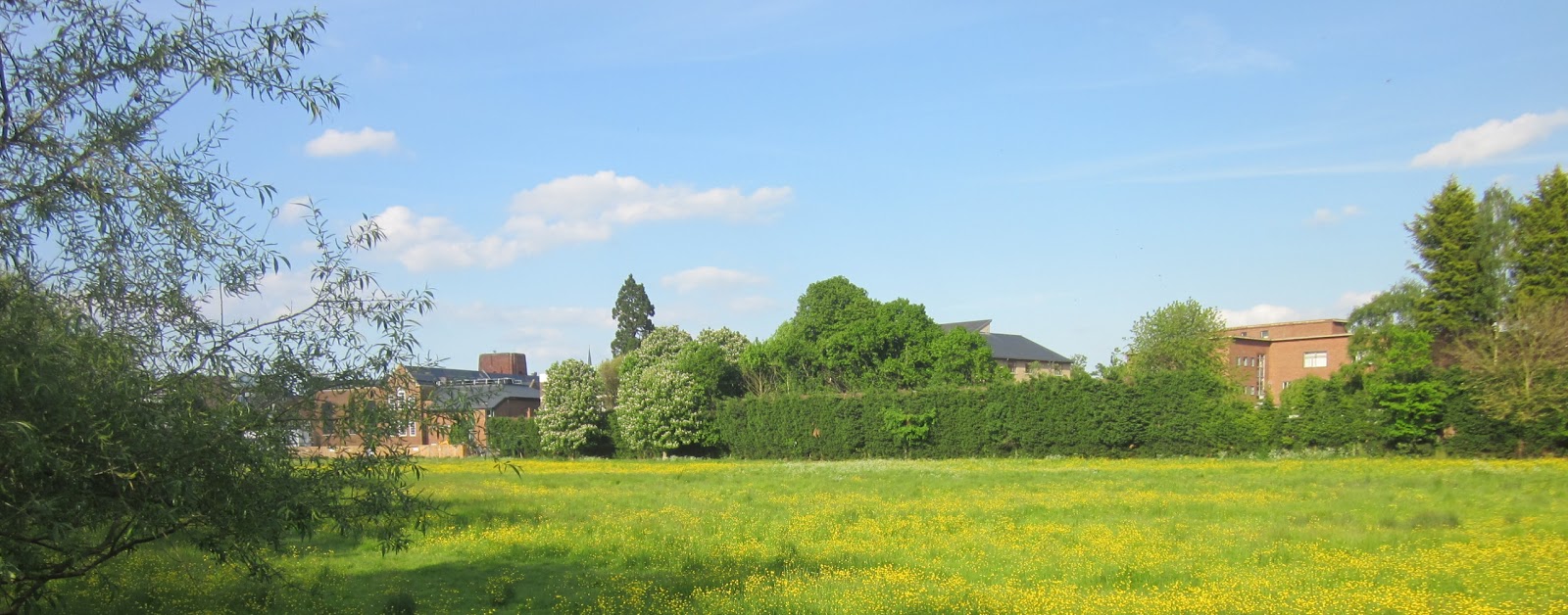 coe fen leys school radwagon